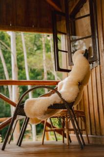 Refúgio Com Hidro e Rede Suspensa Para Casais - 2