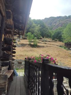 Steinbock rascard - 2