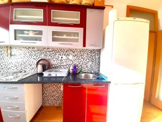 Newly built bright apartment - Sarajevo - 2