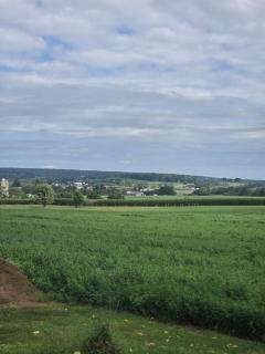 Amish Country Stay w/ Buggy Ride - 2