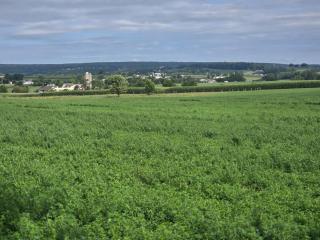 Amish Country Stay w/ Buggy Ride - 3