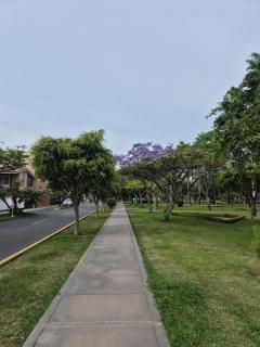 Garden House Miraflores - 3