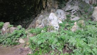 Rurutu Randy - 2