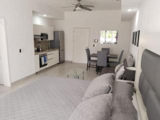 Costa Paraíso Estudio D-2 - 8