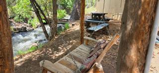 Dog Friendly Room with a Queen Bed and Kitchenette at the Cedaredge Lodge - 3