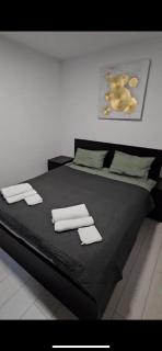 #apartamentuldepecolt - 9