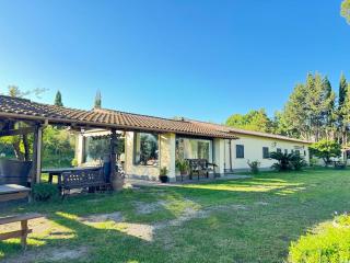 Brand new villa with AC and park close to Rome - 0