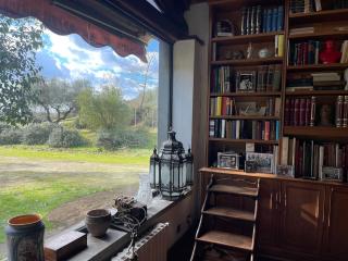 Brand new villa with AC and park close to Rome - La Villa - 6