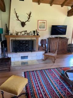 Brand new villa with AC and park close to Rome - La Villa - 4