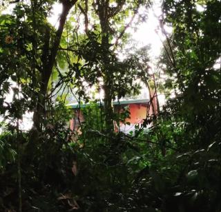 Casa Rosa de los Vientos in oak forest - Medellín - 3
