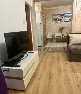 Dasic apartments 2 - Podgorica - 4