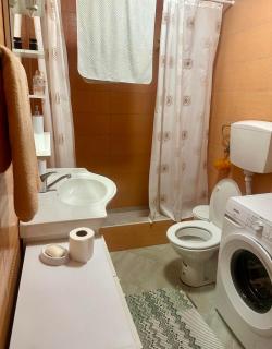 Dasic apartments 2 - Podgorica - 5