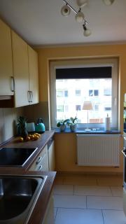 Kleines Studio Eismöwe - 4