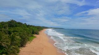 Casa Olas Bluff Beach - Bocas del Toro - 9