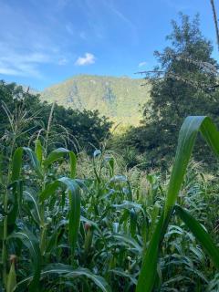 Hiking San Juan - 7