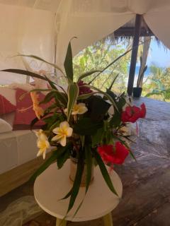 Awakening & EnLIGHTment - El Nido - 1