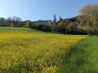 Agriturismo Fiore - Spoleto - 2