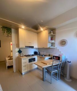CastyHome - 9