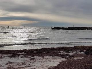 5 person holiday home in Dannemare-By Traum - 3