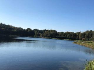 5 person holiday home in Toftlund-By Traum - 1