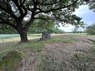 8 person holiday home in Hovborg-By Traum - 6