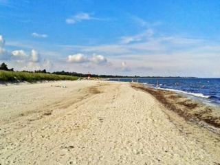 4 star holiday home in Væggerløse - 2