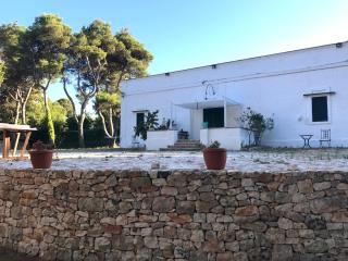 CASINA 1806 Selva di Fasano - 9