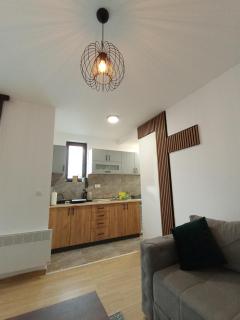 Vila Eden Lux 3 - Zlatibor - 2