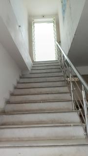 The nest - 4