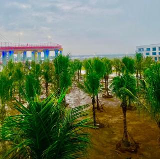 Khánh Phong Apartment and Homestay Vinhome Royal City - Haiphong - 8