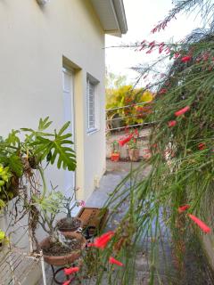 Petite maison cosy et jolie vue - 3