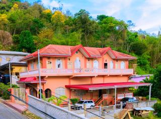 Carolyn's View Guesthouse - Port of Spain - 0