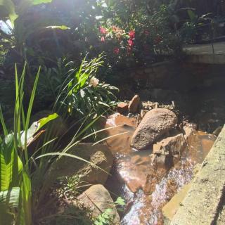 Cabana com Cachoeira Privativa - 3