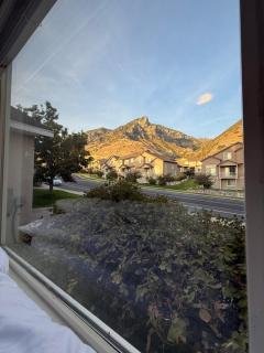 Provo Hale - home - 2