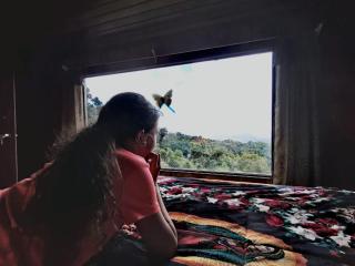 Finca Virche - 4