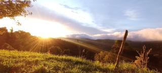 Finca Virche - 3