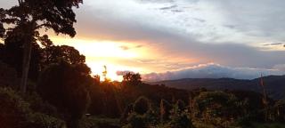 Finca Virche - 2