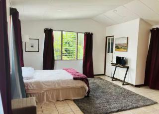 Mini Apartamento Turrialba - 4