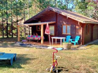 Chalet pour 5 pers. avec terrasse - API-1-52-295 - Dévillac - 3