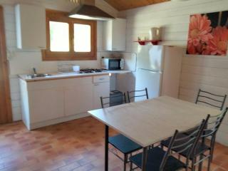Chalet pour 5 pers. avec terrasse - API-1-52-295 - Dévillac - 2