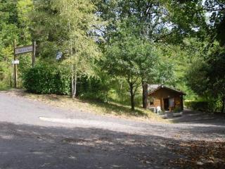 Chalet 52m² avec terrasse à Sauveterre-de-Rouergue - API-1-52-366 - 3