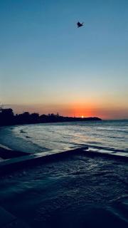 Beach House - COP30 - 8