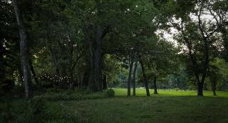 Cypress River Inn & Spa - 3