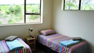 Rotoroa Island Wildlife Sanctuary - Auckland - 4