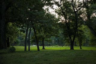 Cypress River Inn & Spa - 2