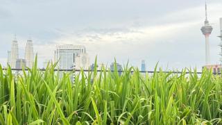 Majestic Residences KLCC By Cozy - 6