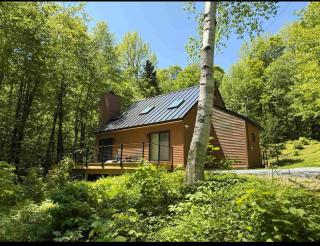 Cozy Luxe Cabin 7 min to Mt Snow - 0