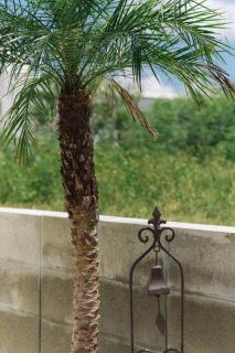 Nakagami-gun - House / Vacation STAY 80729 - Jima - 7