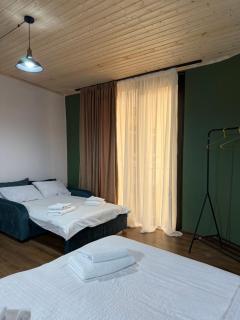The Fireplace ROOM - Borjomi - 7