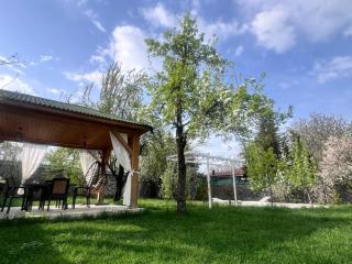 Gabala Garden & Mountain View Villa - Gabala - 7
